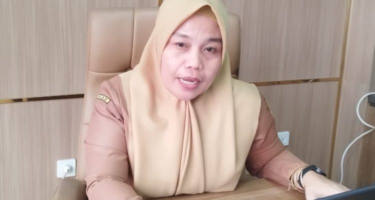 Sekretaris BKAD Kabupaten PPU, Rulyana.